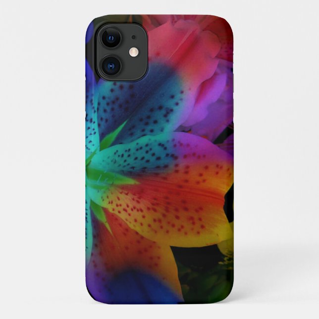 Capa Para iPhone 11 Colorido (Verso)