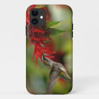 Capa Para iPhone 11 Colubris de Archilochus com Throated