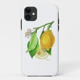 Capa Para iPhone 11 Coque IPhone 11 Citron “Limonier ferraris”