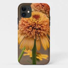 Capa Para iPhone 11 Cor da Flor Laranja
