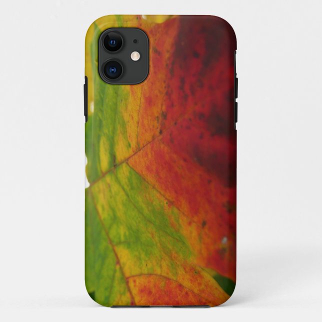 Capa Para iPhone 11 Cores do Cartaz Folha de Outono Fotografia (Verso)