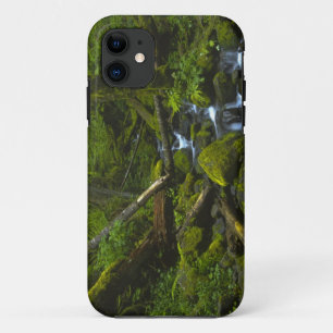 Capa Para iPhone 11 Córrego da Floresta Tropical Temperada no Rio Colu