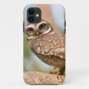 Capa Para iPhone 11 Coruja manchada no vôo da manhã