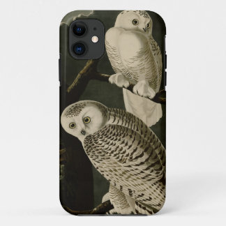 Capa Para iPhone 11 Coruja nevado