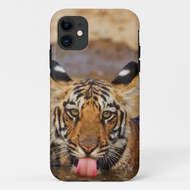 Capa Para iPhone 11 Cozinha de Bengala Real Tiger, água bebendo (Verso)