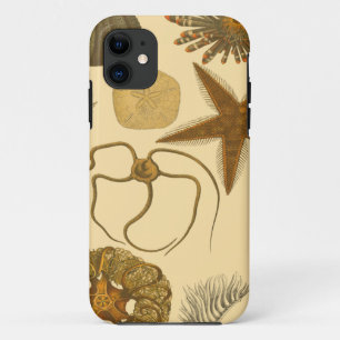 Capa Para iPhone 11 Criaturas do Mar Subaquático