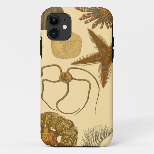 Capa Para iPhone 11 Criaturas do Mar Subaquático (Verso)