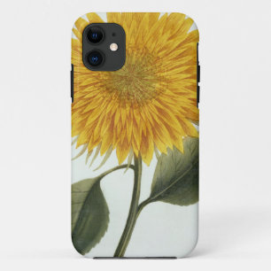 Capa Para iPhone 11 Crisântemo Indicum 'de Pythanthoza Iconograph