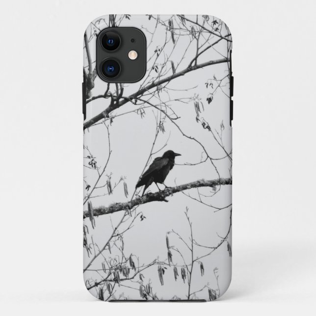 Capa Para iPhone 11 Crow em uma Árvore de Birch (Verso)