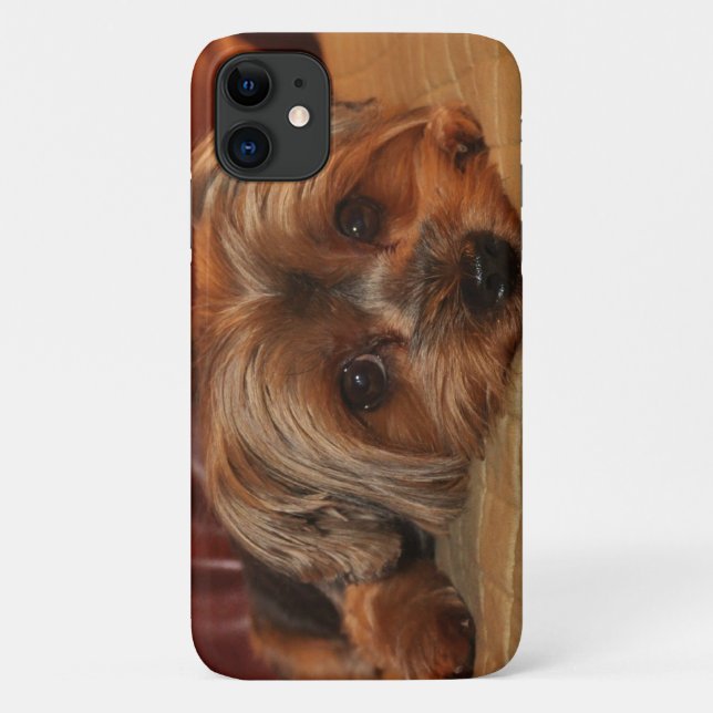 Capa Para iPhone 11 Cute Yorkshire Terrier Puppy Dog (Verso)