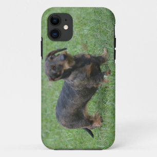 Capa Para iPhone 11 Dachshund de cabelo do fio bonito