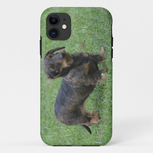 Capa Para iPhone 11 Dachshund de cabelo do fio bonito (Verso)