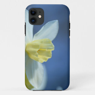 Capa Para iPhone 11 Daffodil na Primavera