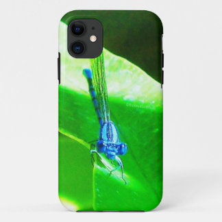 Capa Para iPhone 11 Damselfly