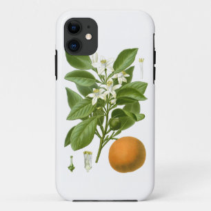Capa Para iPhone 11 Decoração botânica alaranjada de 2 casas dos
