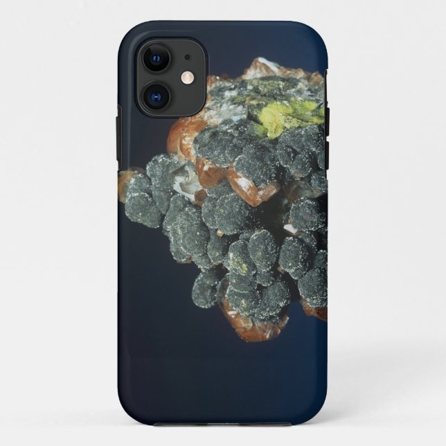 Capa Para iPhone 11 Descloizite na calcite (Verso)