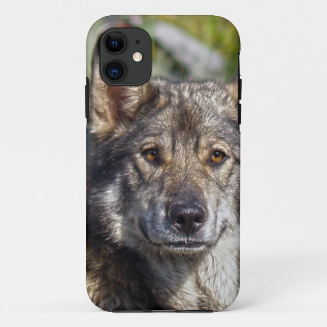 Capa Para iPhone 11 Desenhos de cães para amantes de animais de compan (Verso)