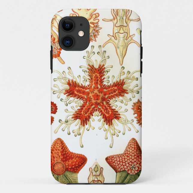 Capa Para iPhone 11 Design comum da estrela do mar (Verso)