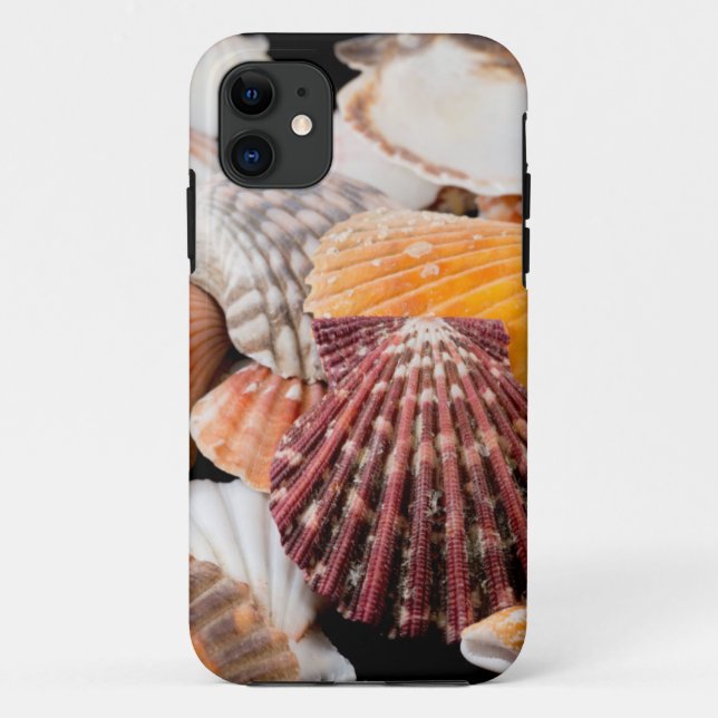 Capa Para iPhone 11 Detalhe De Conchas Do Mundo 2 (Verso)