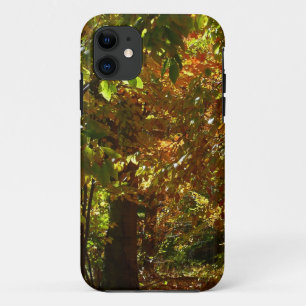 Capa Para iPhone 11 Dossel de Folhas de Outono II Fotografia do Outono