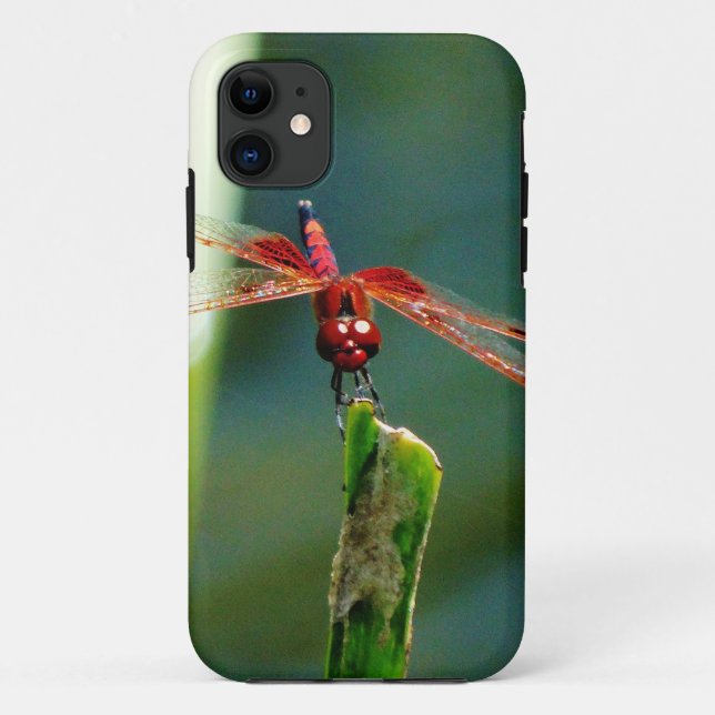 Capa Para iPhone 11 Dragonfly Frontal Vermelha e Negra (Verso)