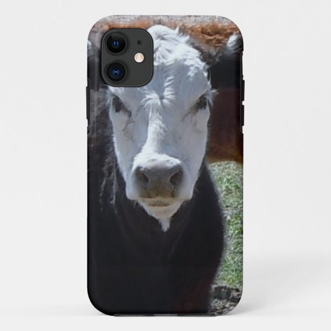 Capa Para iPhone 11 É um ajuntamento! O gado branco preto acobarda (Verso)