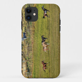 Capa Para iPhone 11 Efetivo de Cavalos Correndo em um Ranch BC