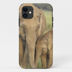 Capa Para iPhone 11 Elefante indiano / asiático e filhote, Corbett