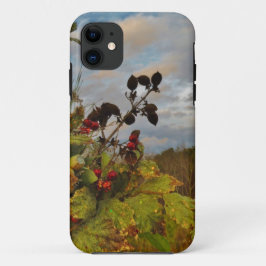 Capa Para iPhone 11 Elegante Holly Christmas,