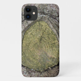 Capa Para iPhone 11 Encerramento da ramificação da árvore