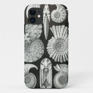 Capa Para iPhone 11 Ernst Haeckel - Ammonitida
