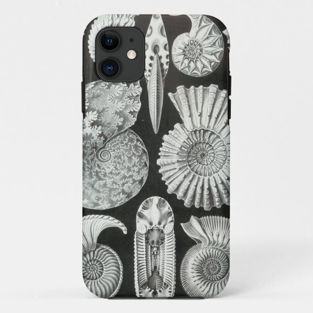 Capa Para iPhone 11 Ernst Haeckel - Ammonitida (Verso)