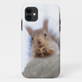 Capa Para iPhone 11 Esquilo com noz