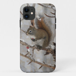 Capa Para iPhone 11 Esquilo de inverno, neve e berries vermelhos Desig
