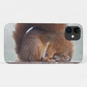 Capa para iPhone 11 Esquilo Lotus