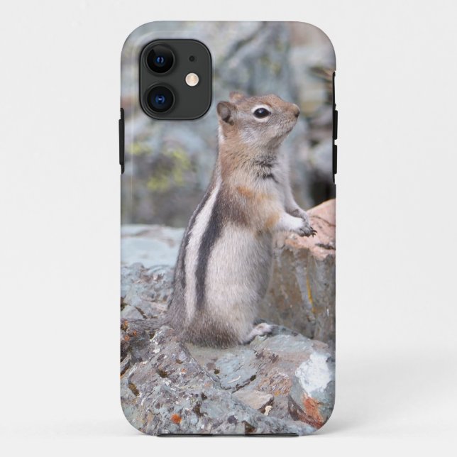 Capa Para iPhone 11 Esquilo-Terrestre de Manto Dourado no Glacier II (Verso)