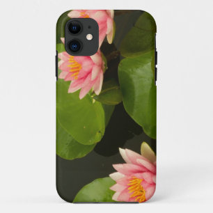 Capa Para iPhone 11 Estados Unidos, DC, Washington, Kenilworth 4
