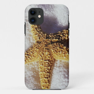 Capa Para iPhone 11 Estrela do mar em uma toalha