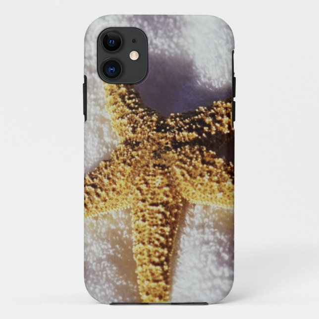 Capa Para iPhone 11 Estrela do mar em uma toalha (Verso)