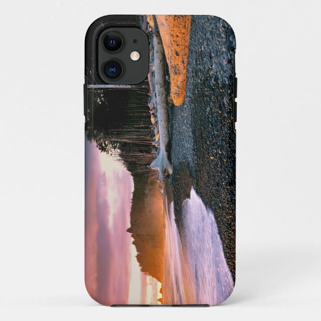 Capa Para iPhone 11 EUA, Estado de Washington, PN Olímpico. Ondas lamb (Verso)