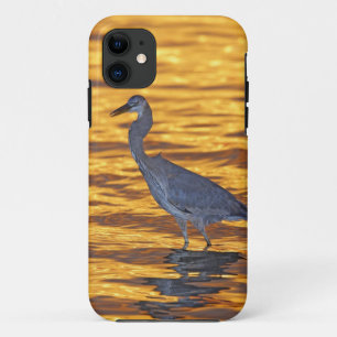 Capa Para iPhone 11 EUA, Flórida, St. Petersburg, Fort De Soto Park.