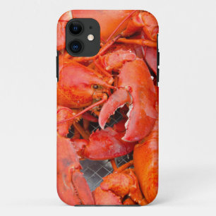 Capa Para iPhone 11 EUA, Massachusetts, Martha's Vineyard