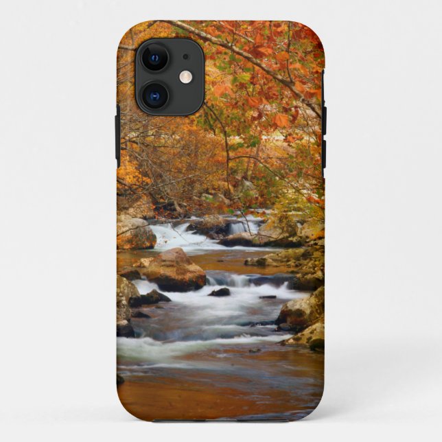 Capa Para iPhone 11 EUA, Tennessee. Rushing Mountain Creek (Verso)