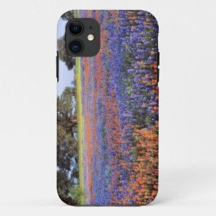 Capa Para iPhone 11 EUA, Texas, Llano. Bluebonnets e redbonnets