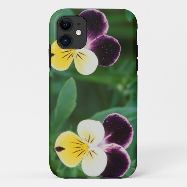 Capa Para iPhone 11 EUA, Utah, Cache Valley, Johnny Jump Up (Verso)