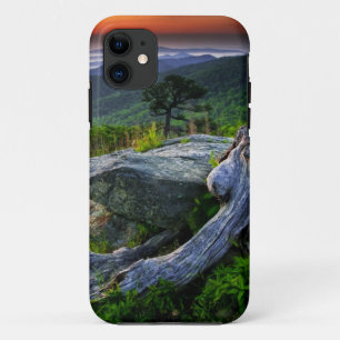 Capa Para iPhone 11 EUA, Virgínia, Parque Nacional Shenandoah.