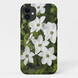 Capa Para iPhone 11 EUA, Washington, Cornus do Pacífico, Cornus