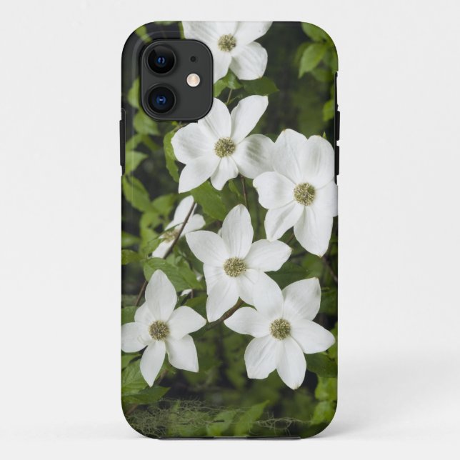 Capa Para iPhone 11 EUA, Washington, Cornus do Pacífico, Cornus (Verso)