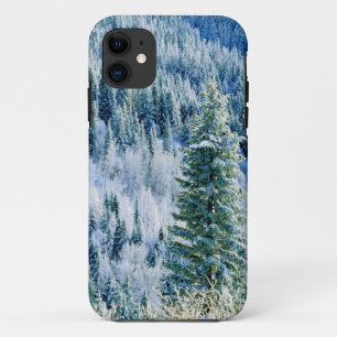 Capa Para iPhone 11 EUA, Washington, Parque Estadual Mt. Spokane, Aspe