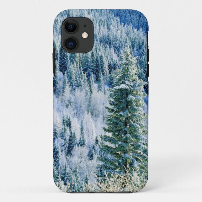 Capa Para iPhone 11 EUA, Washington, Parque Estadual Mt. Spokane, Aspe (Verso)